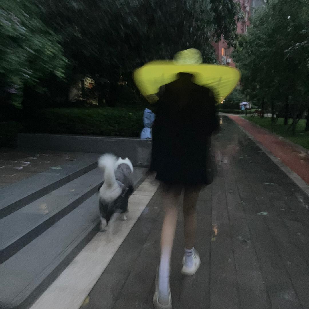 枝🏸（一打一个不吱声版）