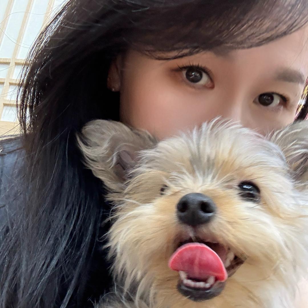 鸿欧尼思密达