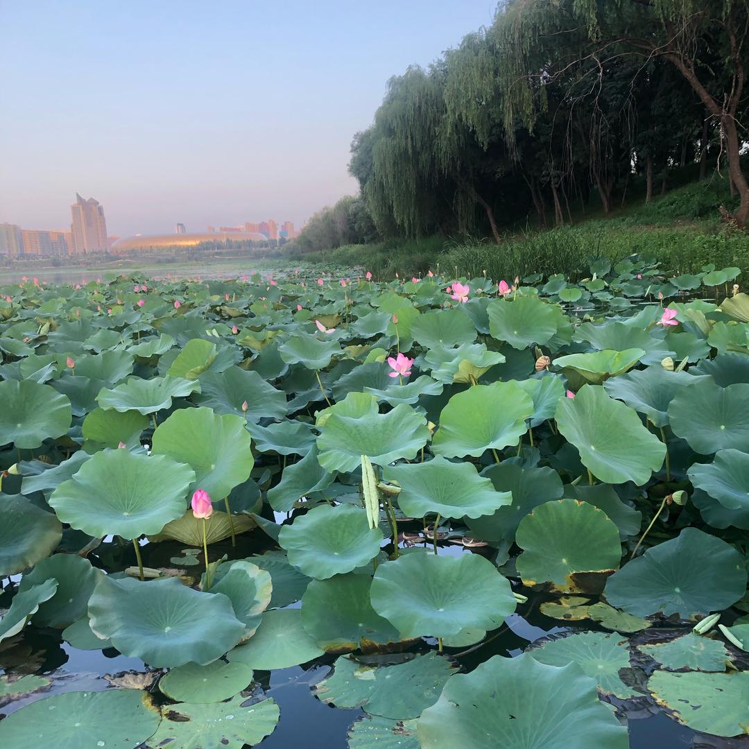 风哥聊弹幕【云歌传媒】