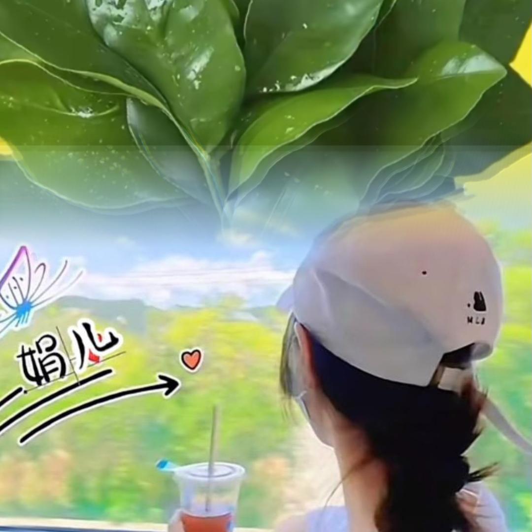 小糖果（橱窗有好物）