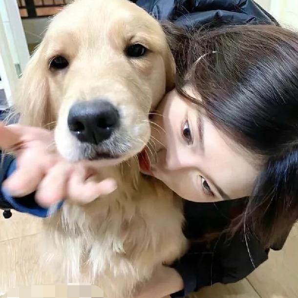 西瓜针不错