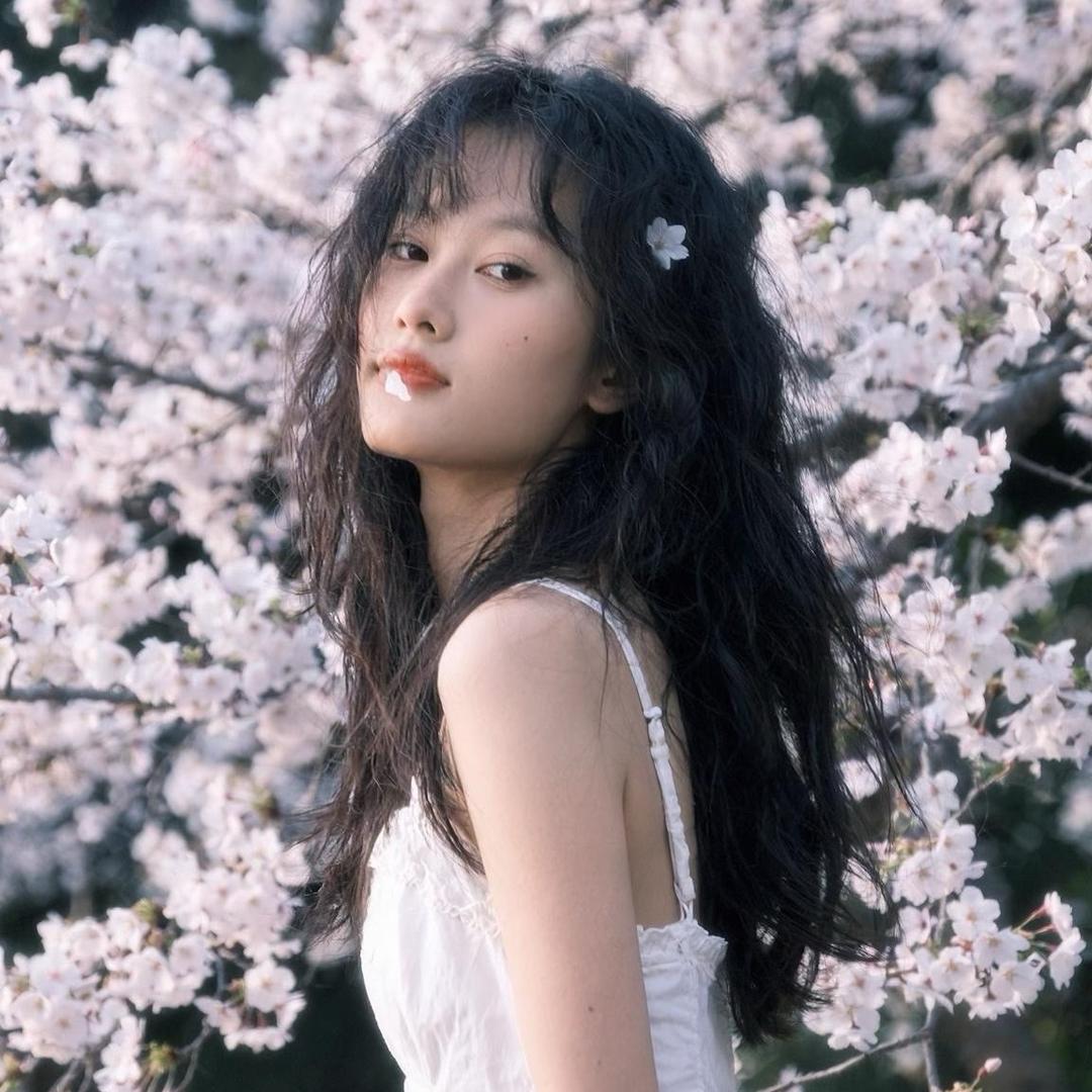 向日葵🌻