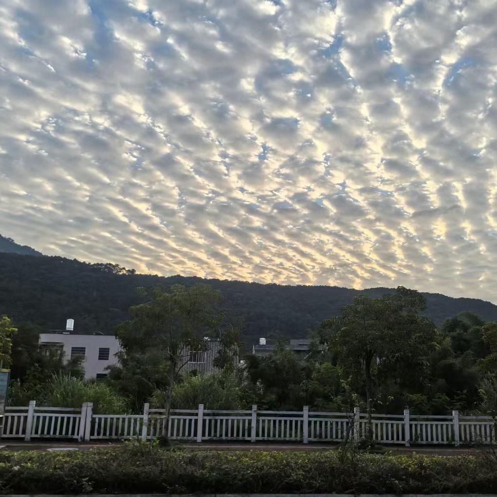 泡沫🫧