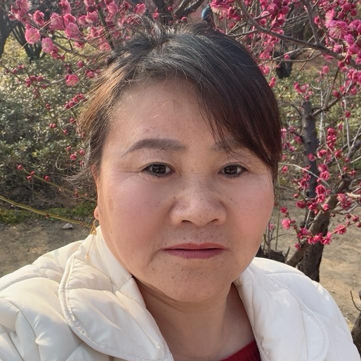 凤姐