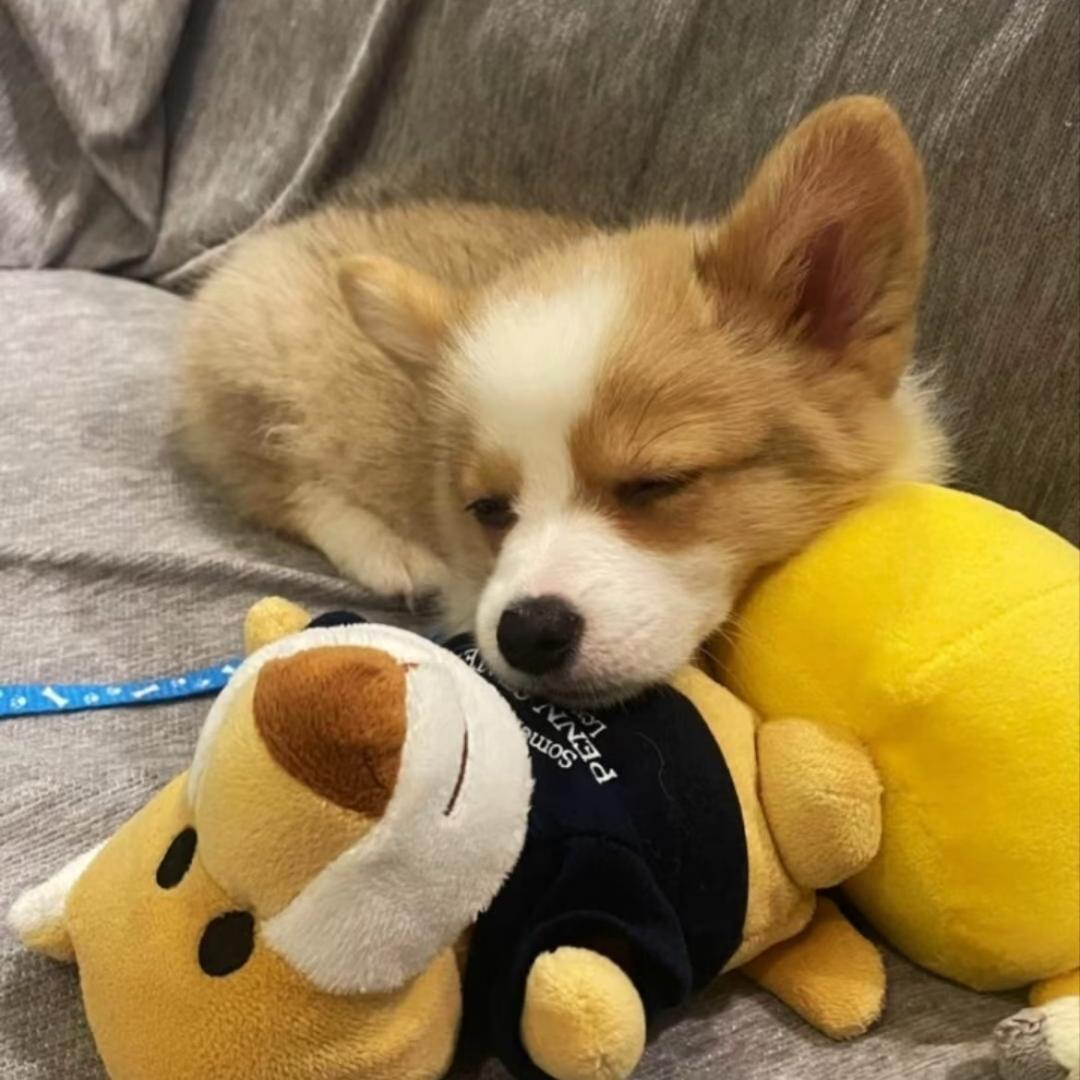 晴天了