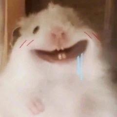 薯条°