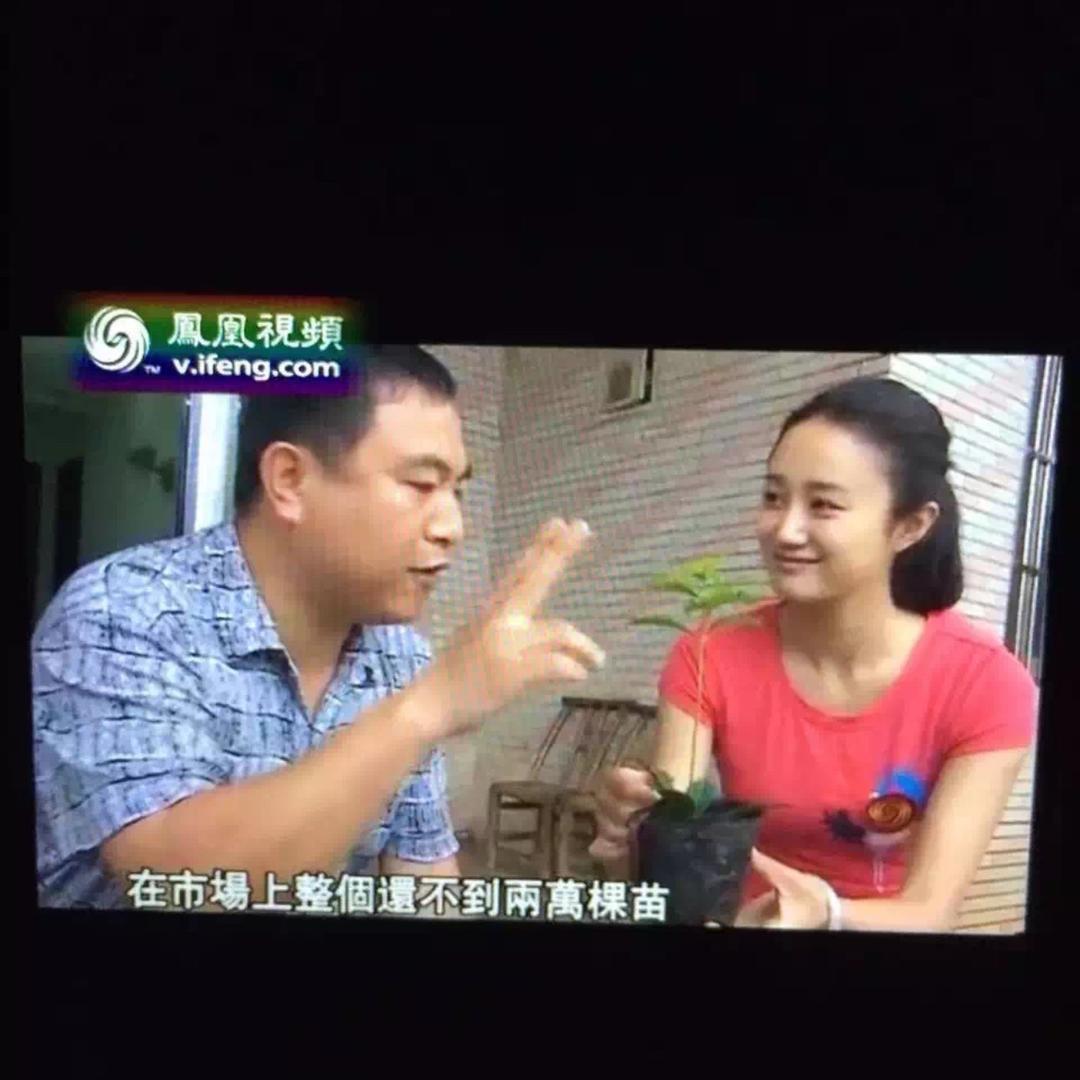 中苗园艺