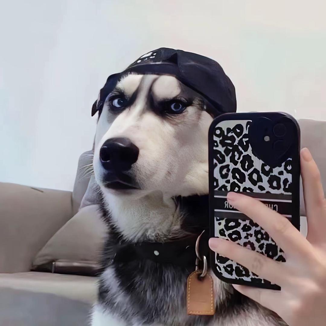 郑大本事🎮