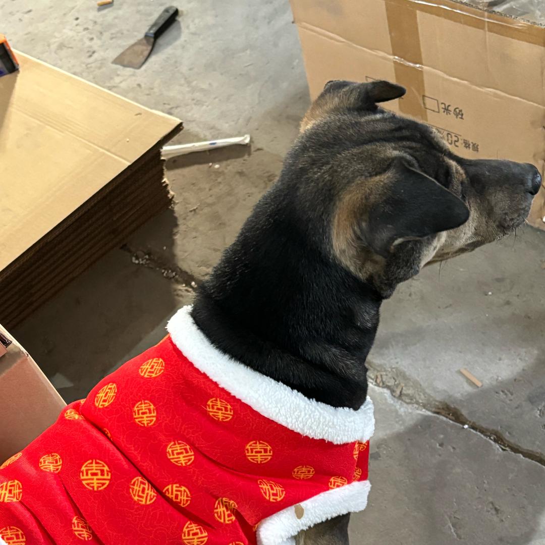 杨毛毛不锈钢