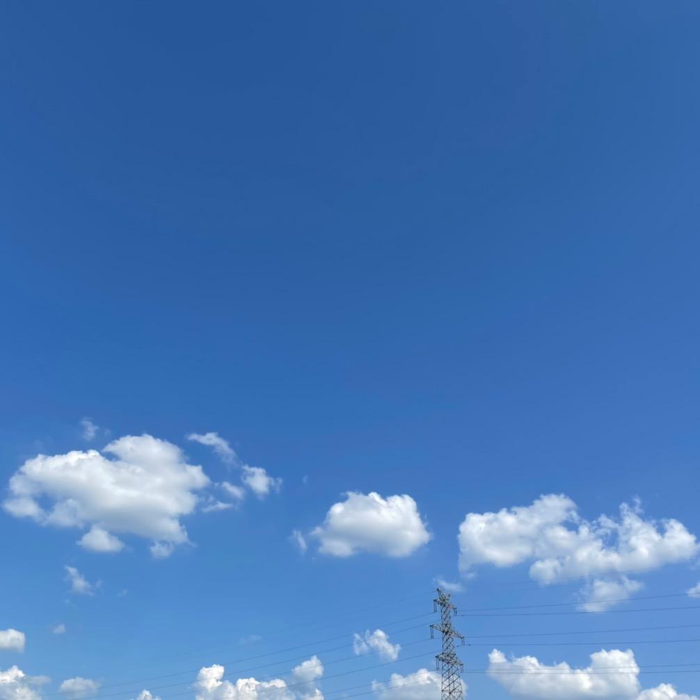 佛系凝本yoga