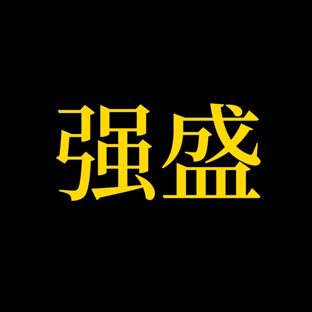 强盛户外玩具店