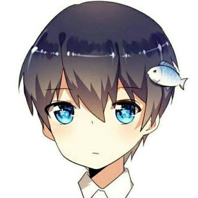 晓昊优选