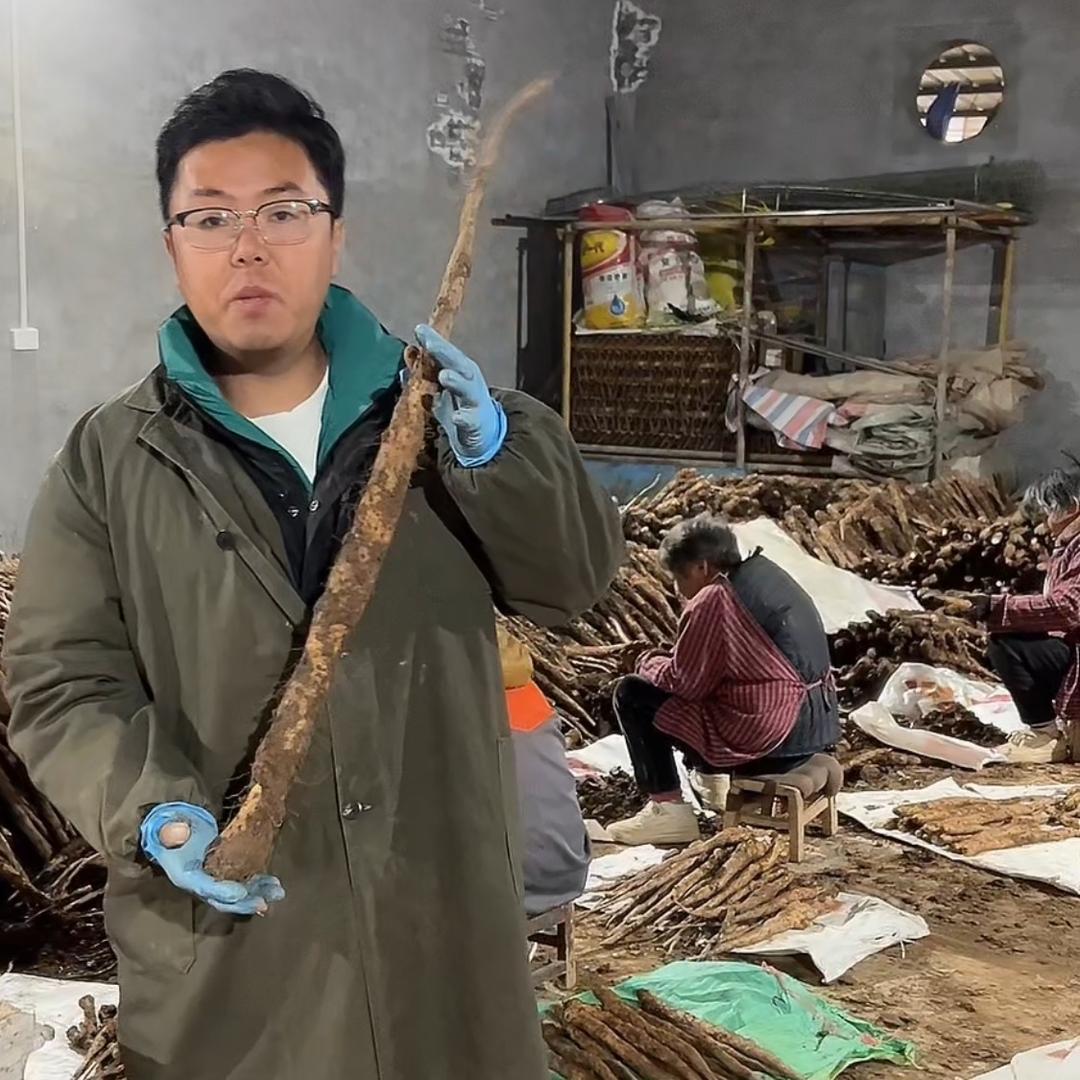 小龙铁棍山药