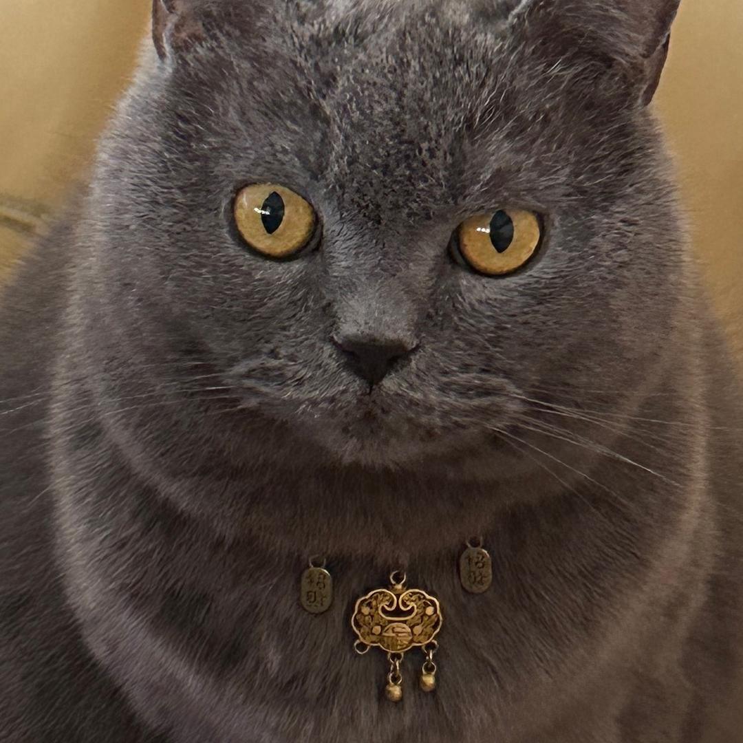 在外请叫我刀疤