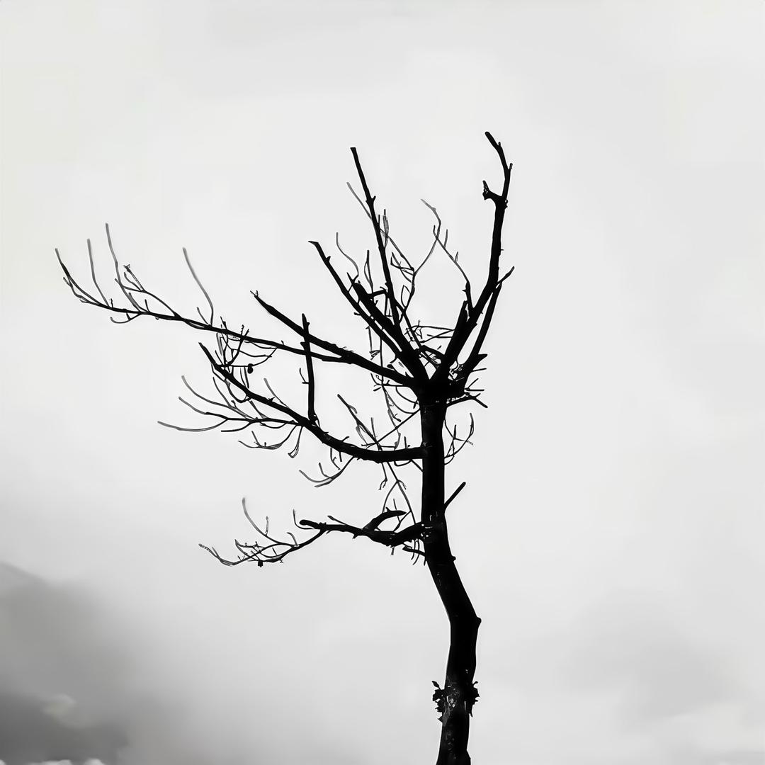 追