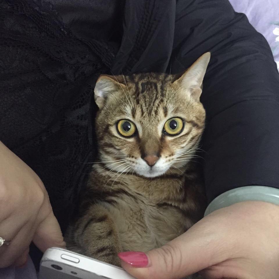 宝兴隆珠宝