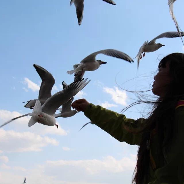 北京盛世嘉宾旅行