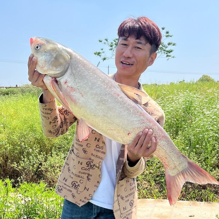 龙中龙大炮
