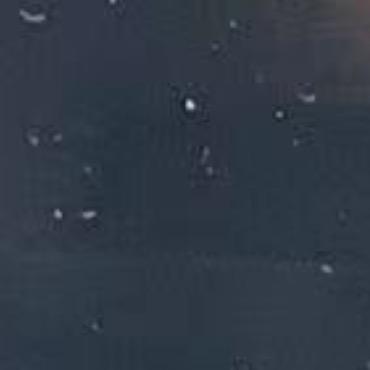 来了就发财🦀️