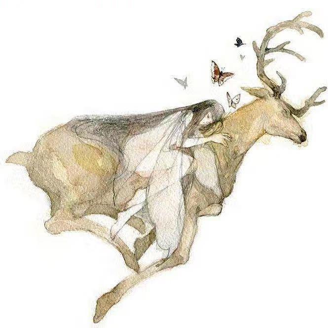 麋鹿🦌
