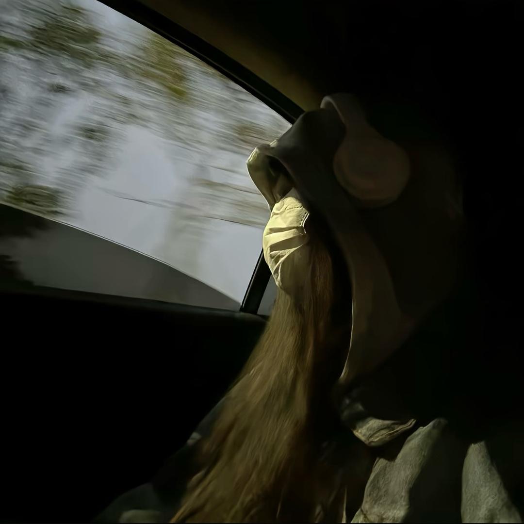 🥀༺ℒove苓🍃 ༺