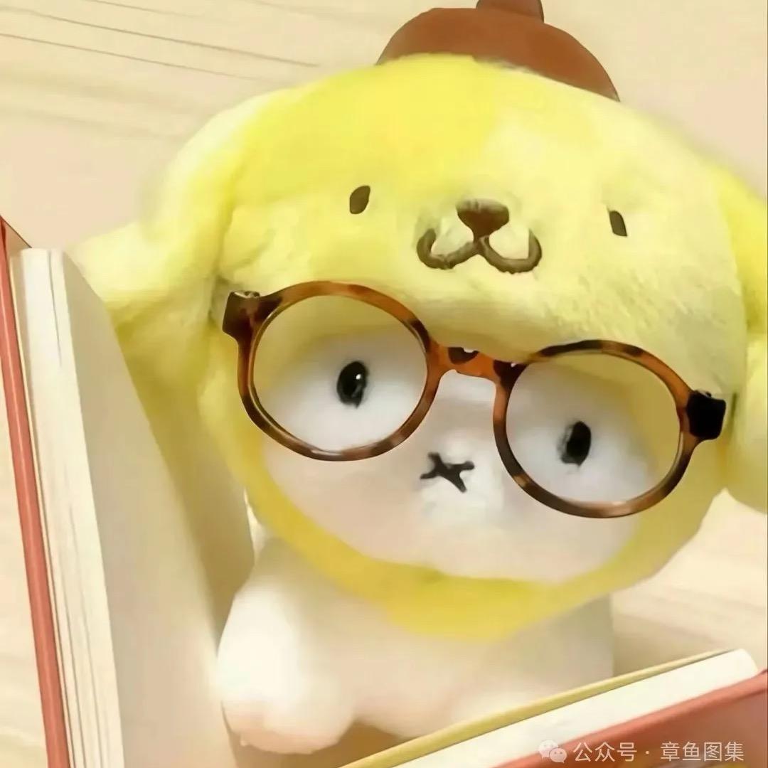 D蛋.