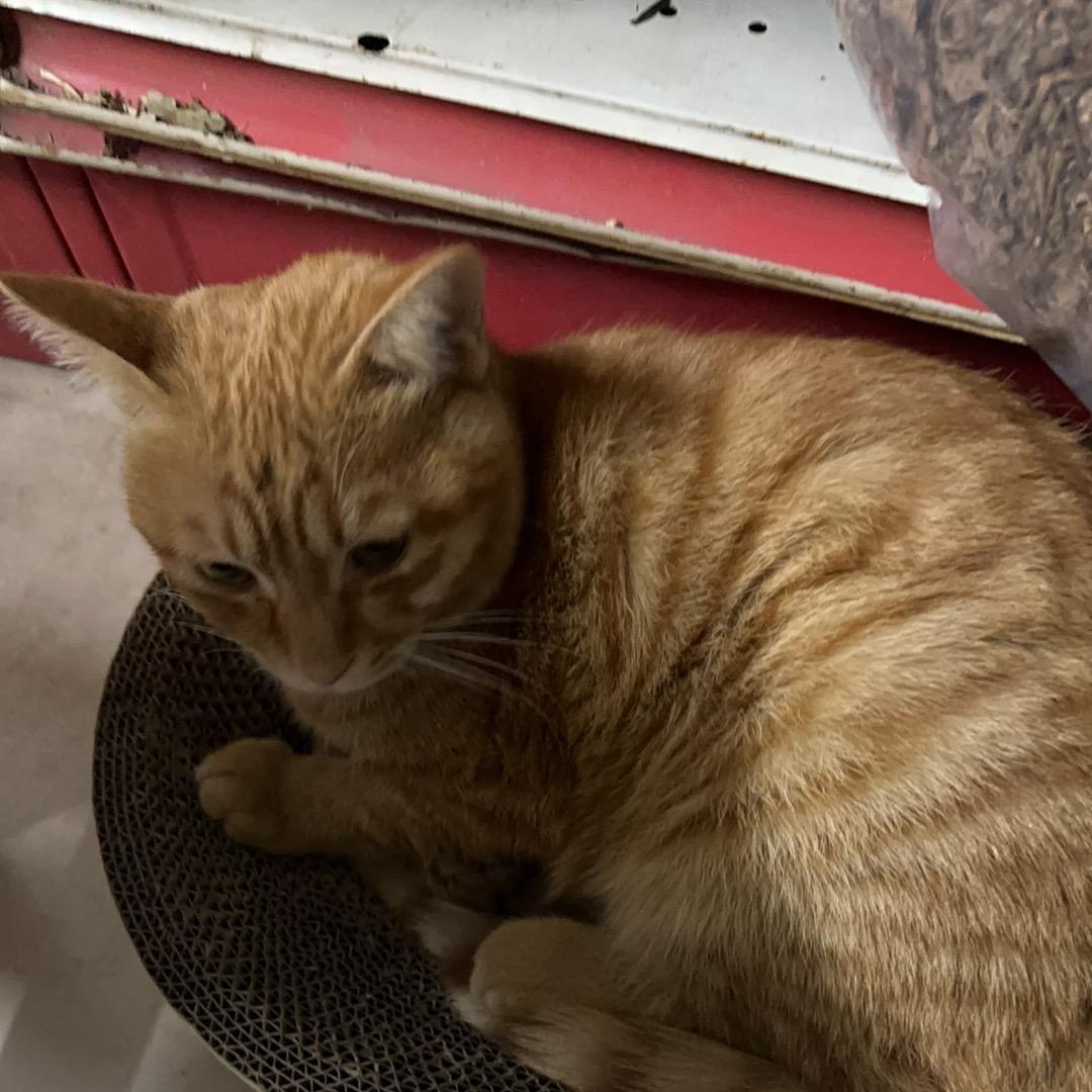 🌈🌈🌈🌈🌈J