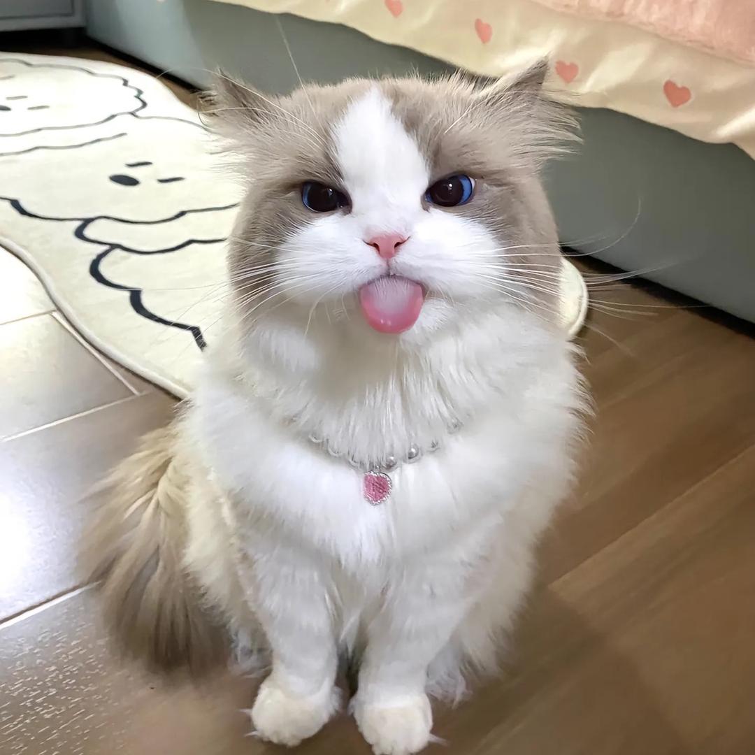 传声筒