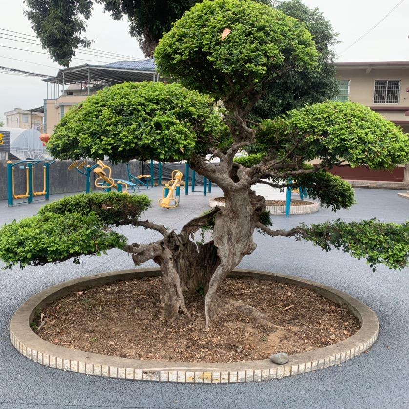 足天中心