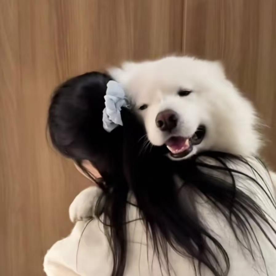 阿丽养宠指南