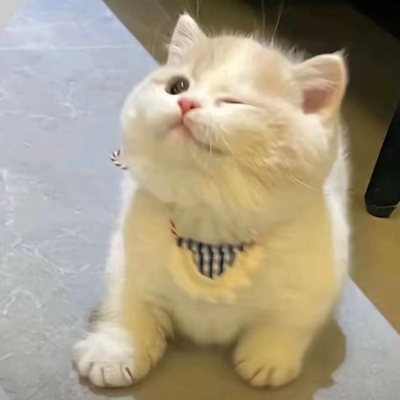 脆脆奶油