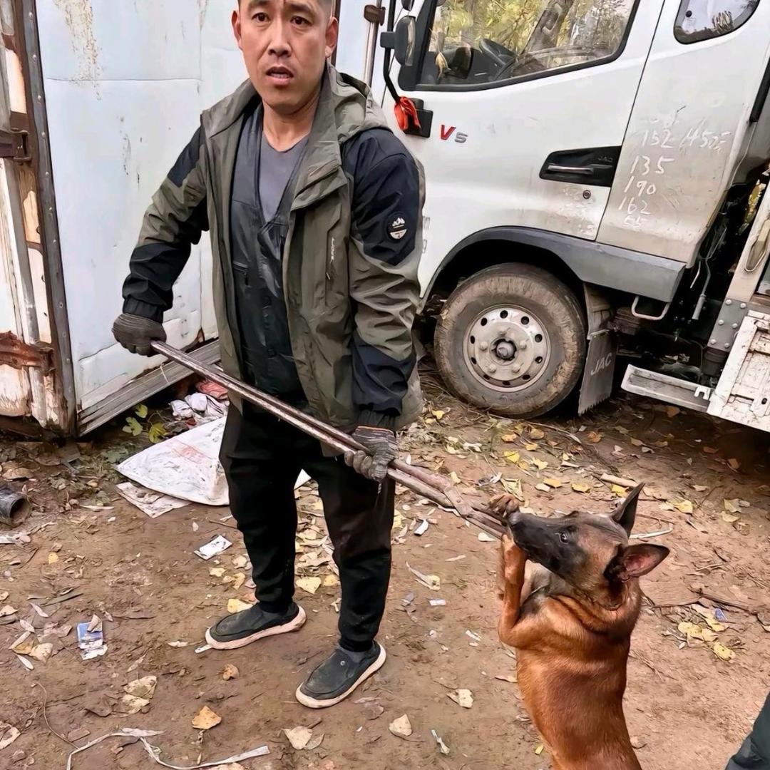 AAA专业套狗刘师傅（看到舔狗一律抓走）