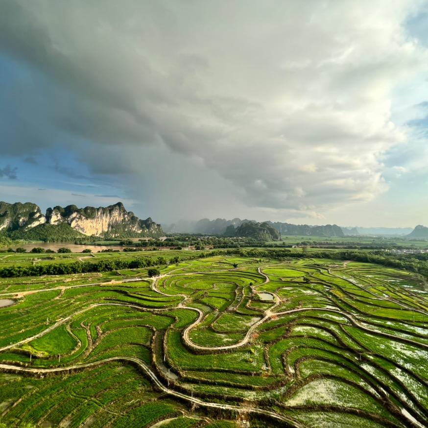 ™ 小 时 光 | 🐈 💕