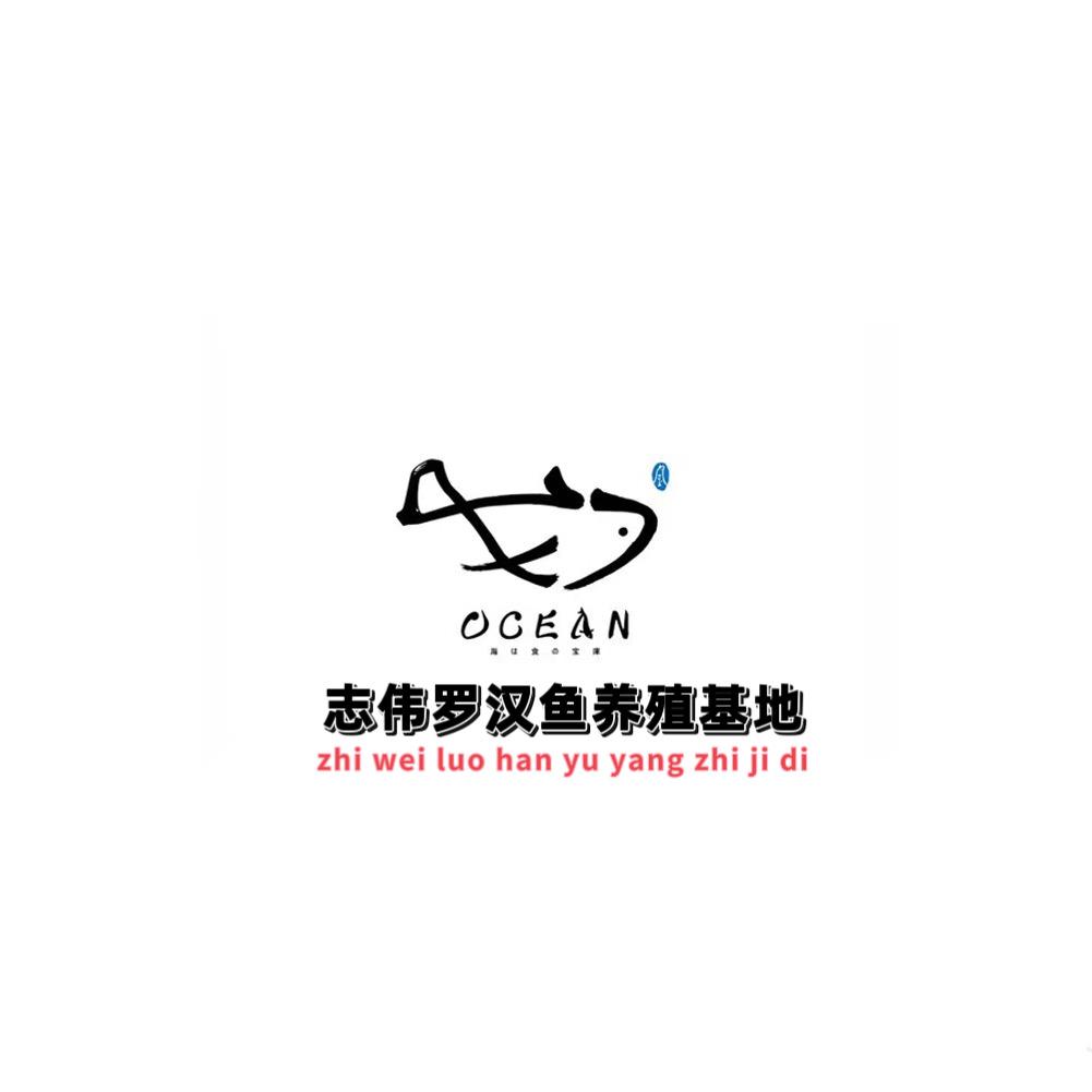 志伟罗汉鱼养殖场