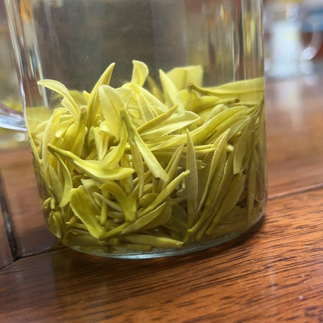 刘三姐🍵