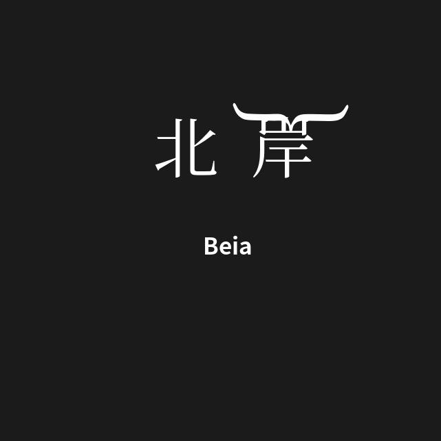 北岸🎱