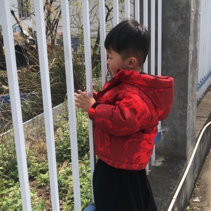 梦里💖花香