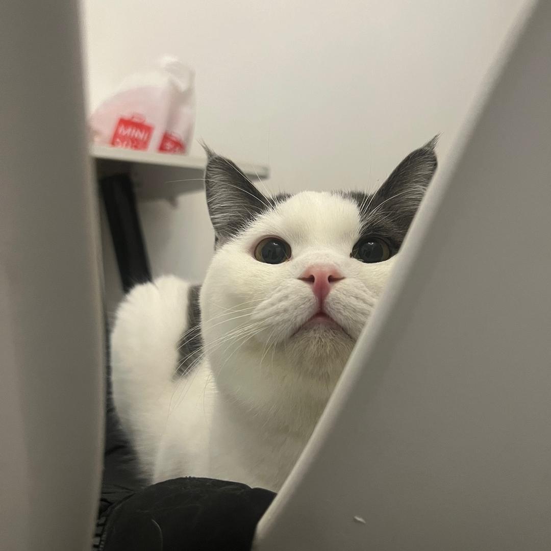 小郭强盛二手车