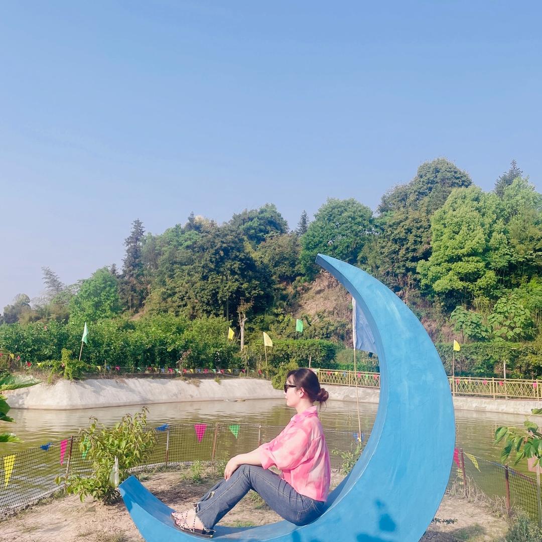 杨杨