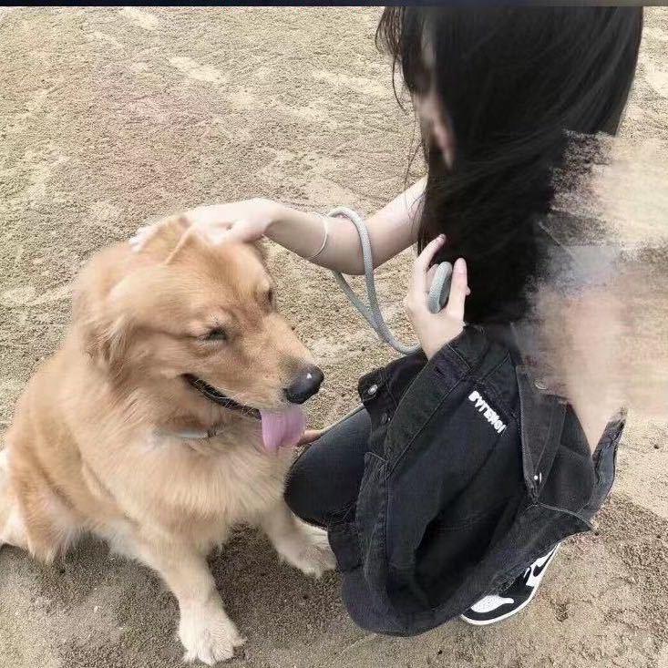 ㅤ︋︋︋︋︋   ㅤㅤ