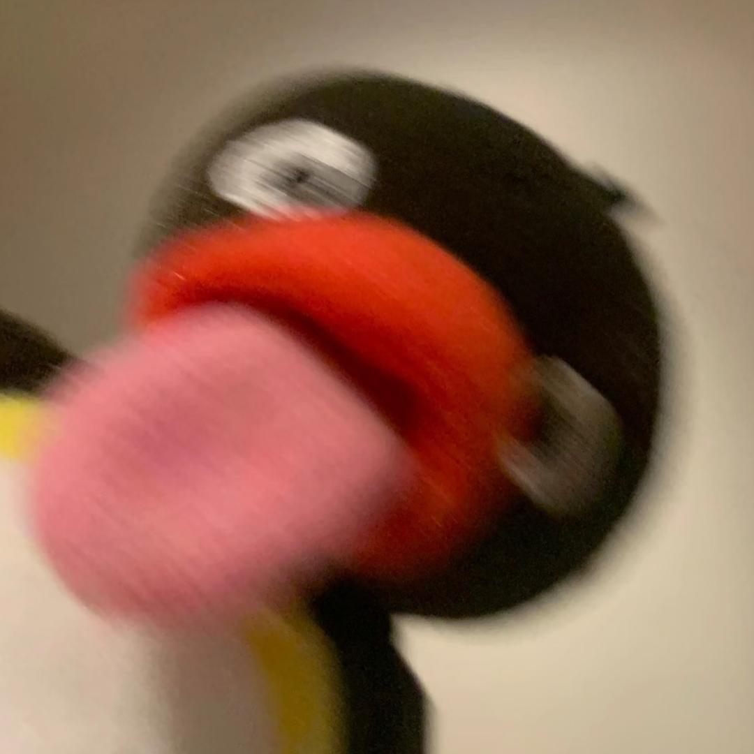 Qi鹅～（求上岸版）