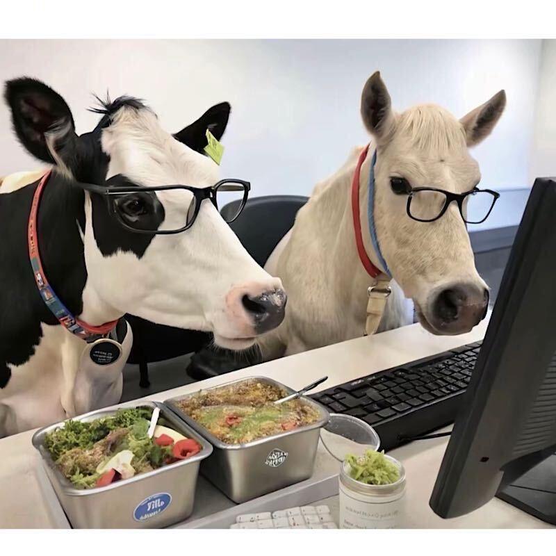 ꧁ℒℴѵℯ㤅儞¹³¹⁴꧂