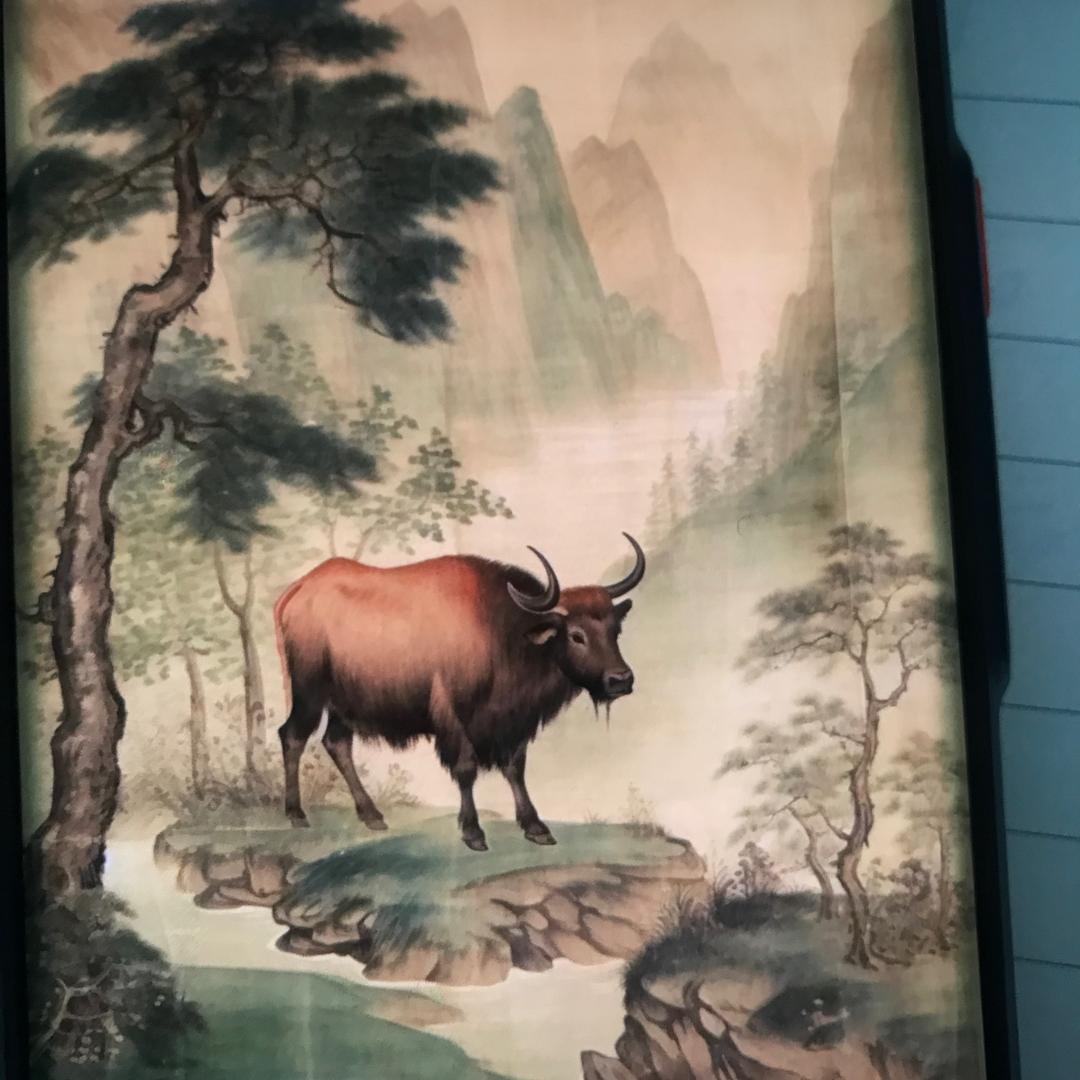 B生宵牛126