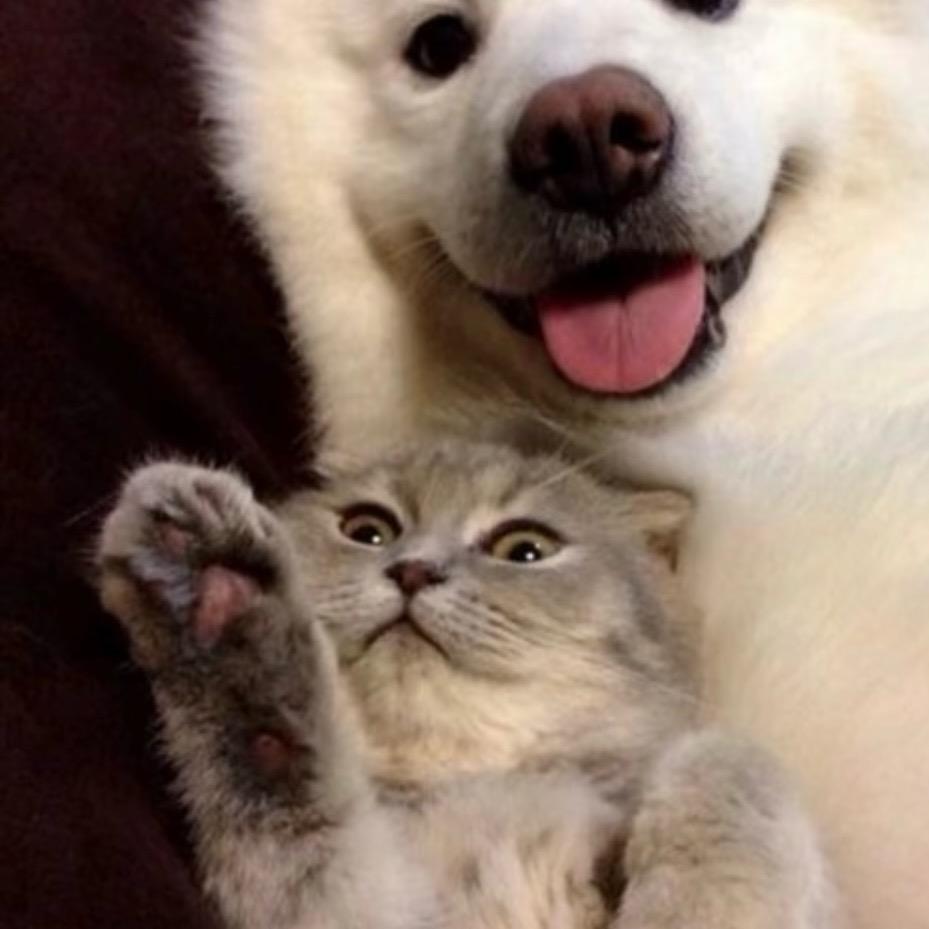 qi‿in_