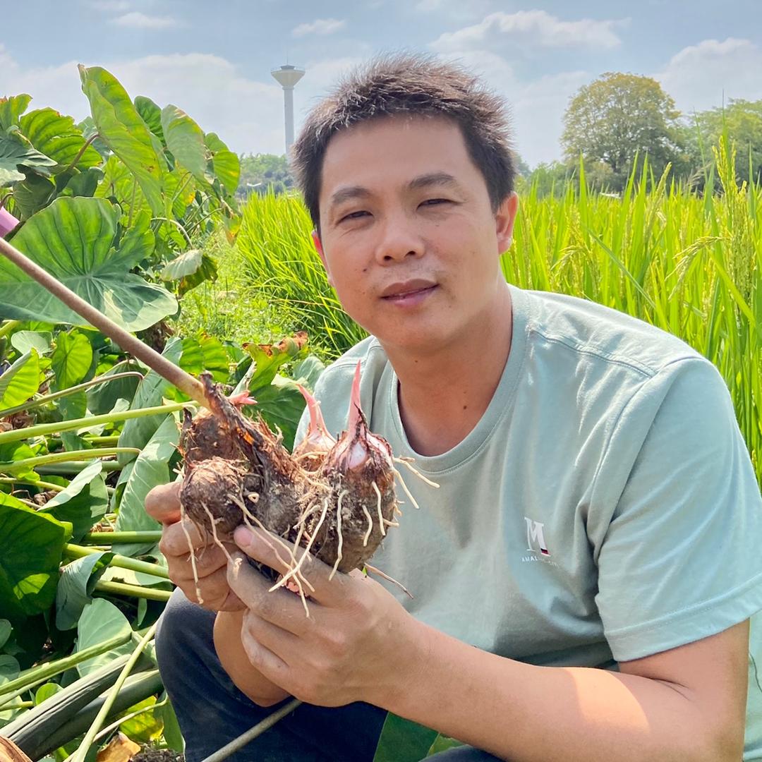 车溪三老表