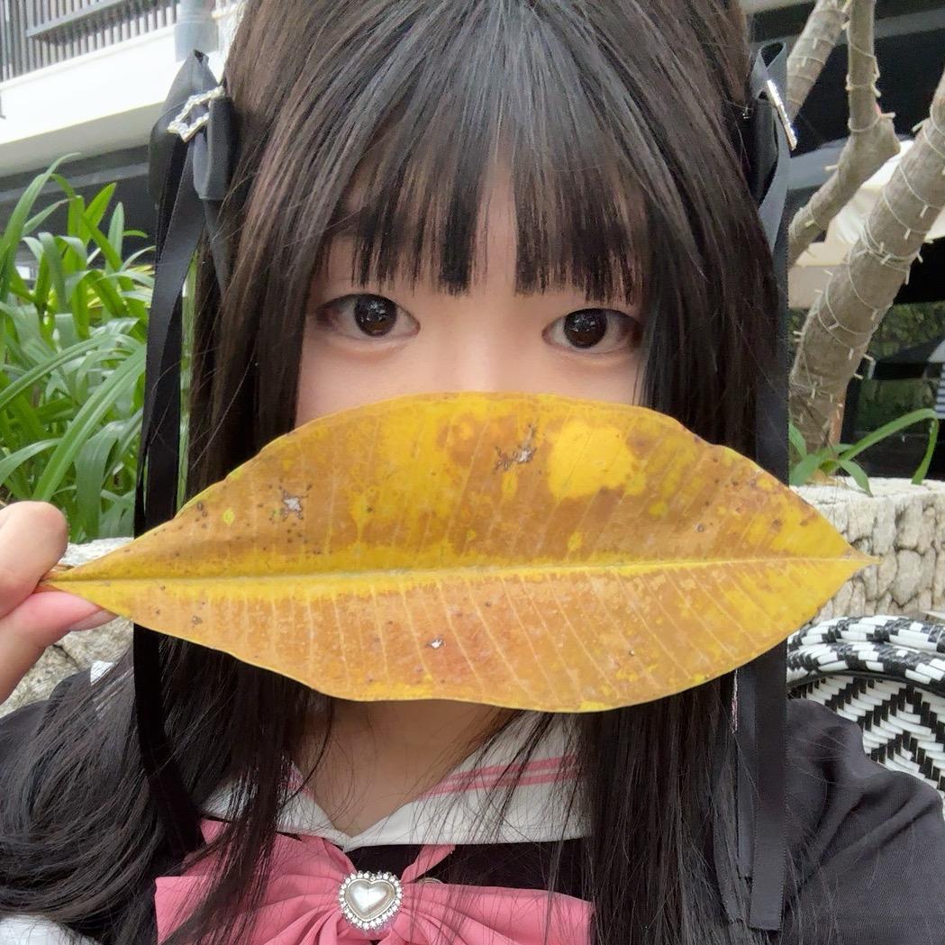 予米蛋挞