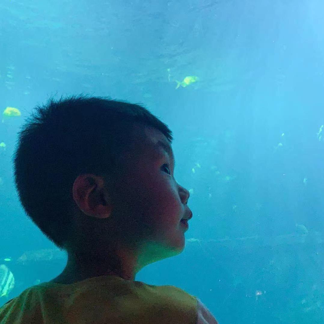 四线城市里的一粒浮尘
