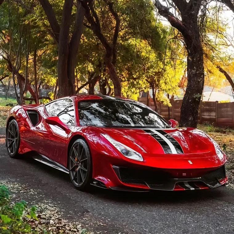 森哥带你看世界