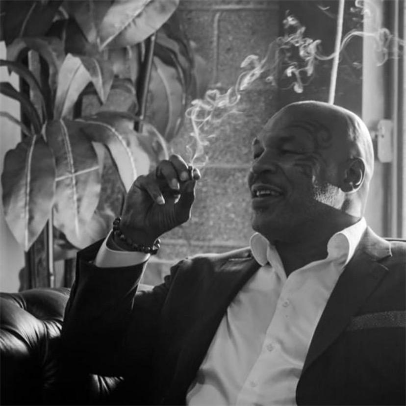 岿（kui）山生态鸡