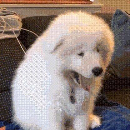 劫